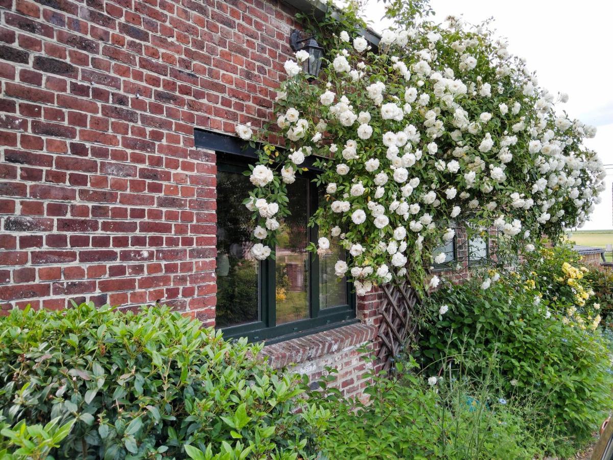 Gite Rural Les Petites Tetes Leuze-en-Hainaut Ngoại thất bức ảnh
