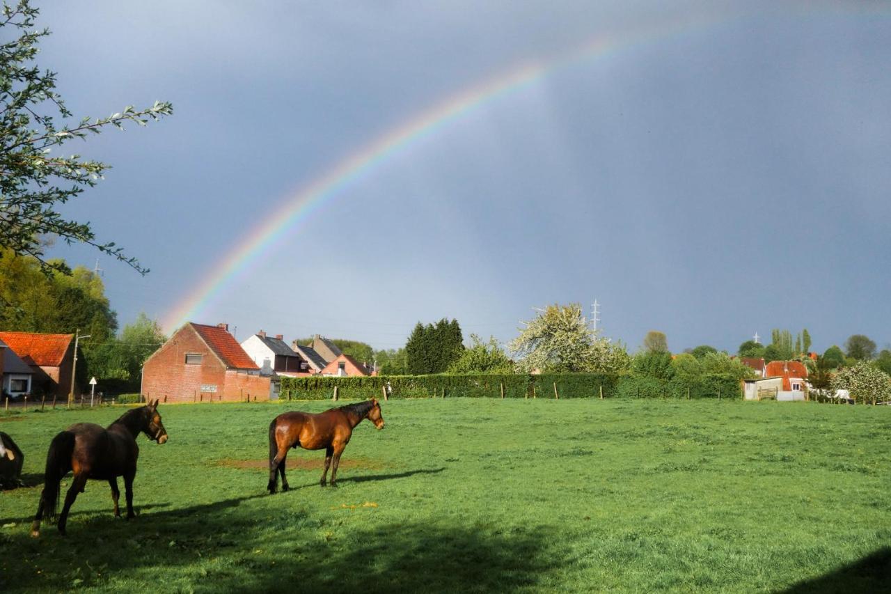 Gite Rural Les Petites Tetes Leuze-en-Hainaut Ngoại thất bức ảnh