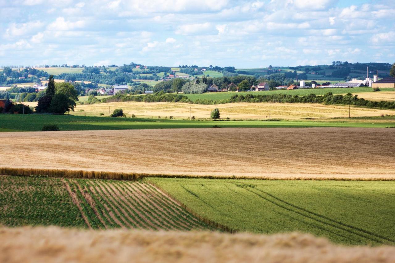 Gite Rural Les Petites Tetes Leuze-en-Hainaut Ngoại thất bức ảnh