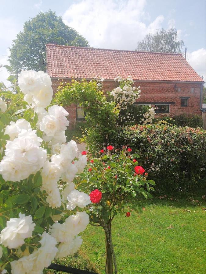 Gite Rural Les Petites Tetes Leuze-en-Hainaut Ngoại thất bức ảnh
